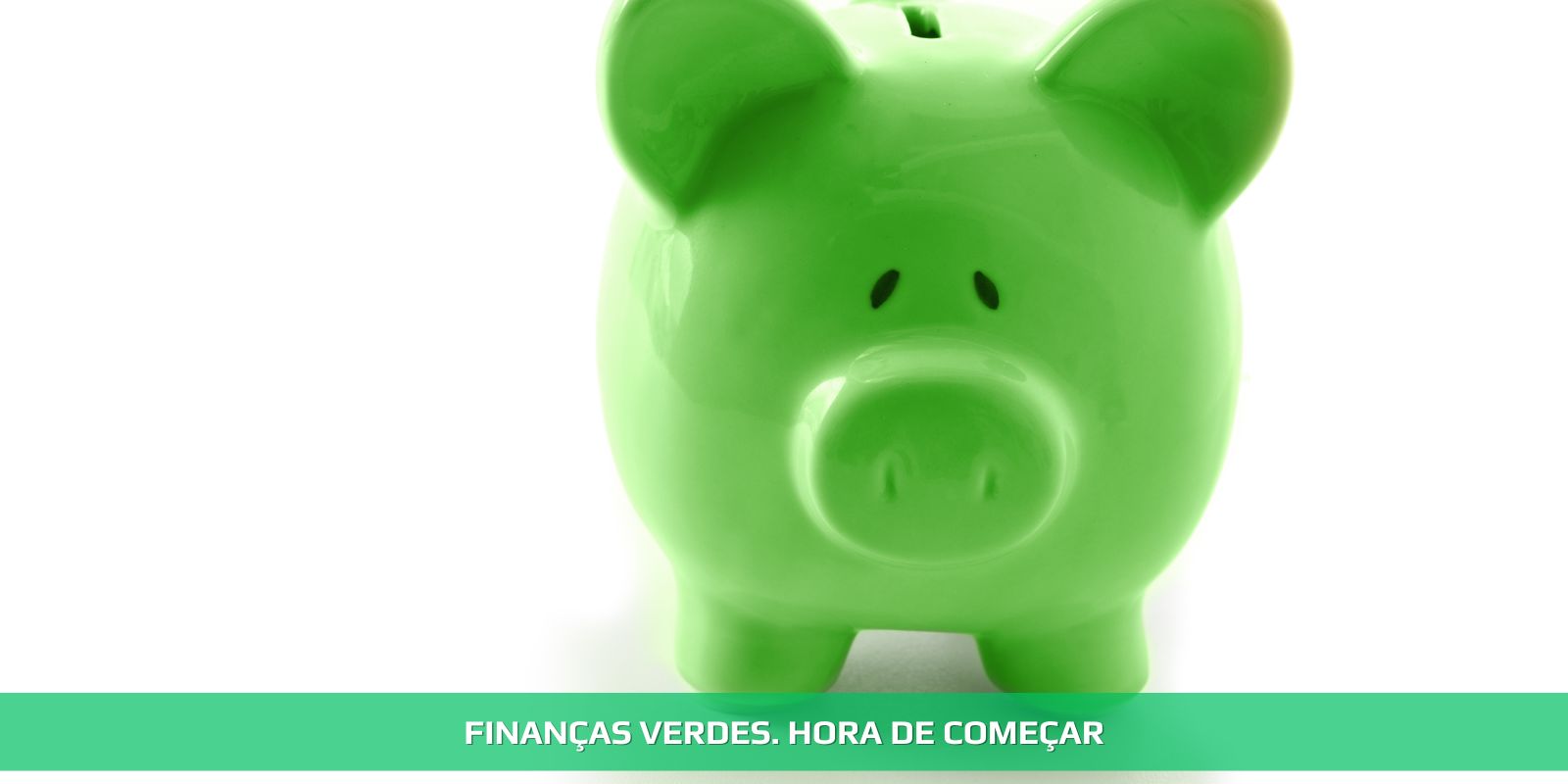 Figura 4 - FINANÇAS VERDES. O CONTADOR E A ECONOMIA CIRCULAR